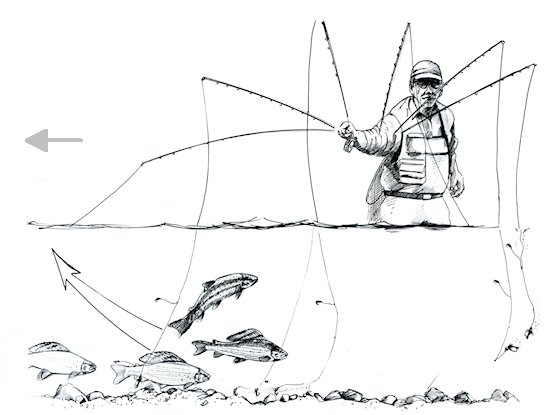 Błędy w łowieniu metodą krótkiej nimfy 